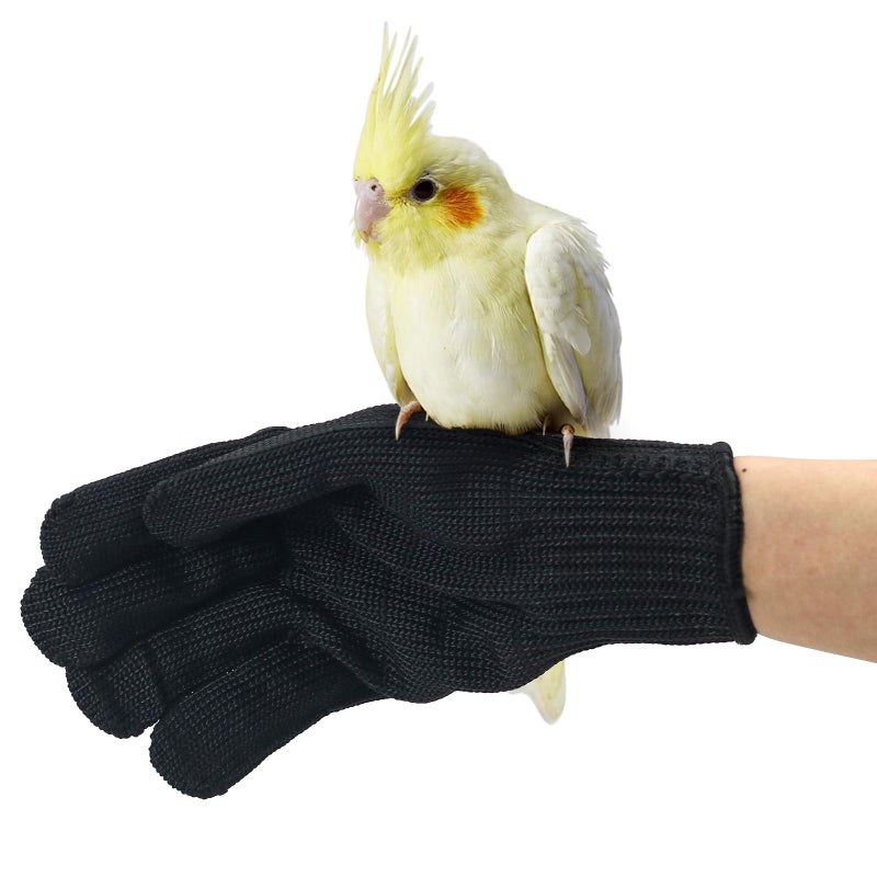 Bac-kitchen Bird Training Anti-Bite Gloves, Level 5 Protection, Parrot Chewing Working Safety Protective Gloves for Small Animal Pet Squirrels Hamster Parrotlets Cockatiels Finch Macaw (2 Pairs) - Image 1